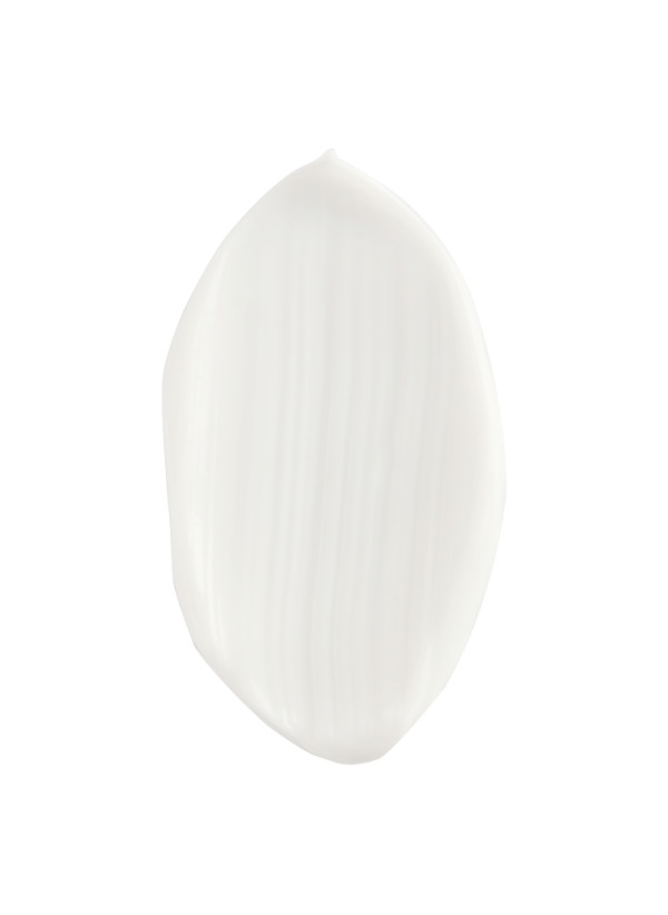 Forever Young Repairing Night Cream - Ночной восстанавливающий крем, 50 мл